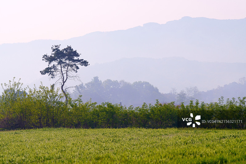 韩国清州市图片素材
