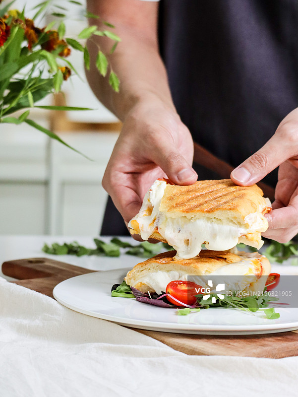 帕尼尼图片素材