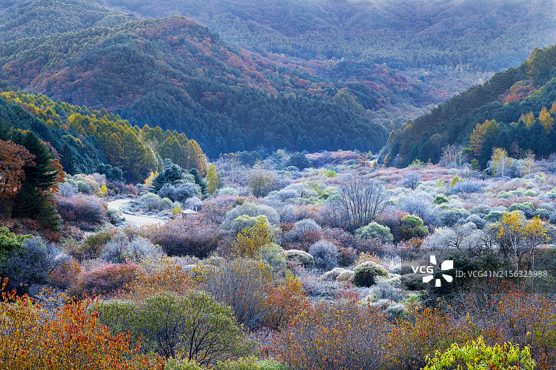 江原道麟蹄郡秘苑秋季霜冻景观图片素材