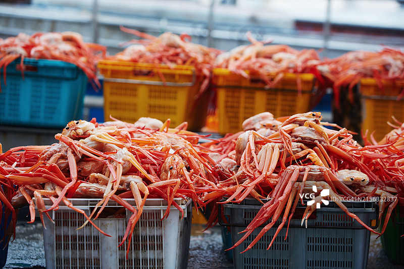 浦项九龙浦红蟹图片素材