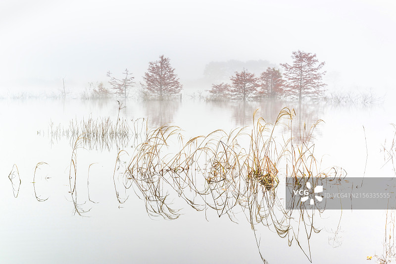 韩国全罗北道镇安龙潭湖朱川生态公园秋叶图片素材
