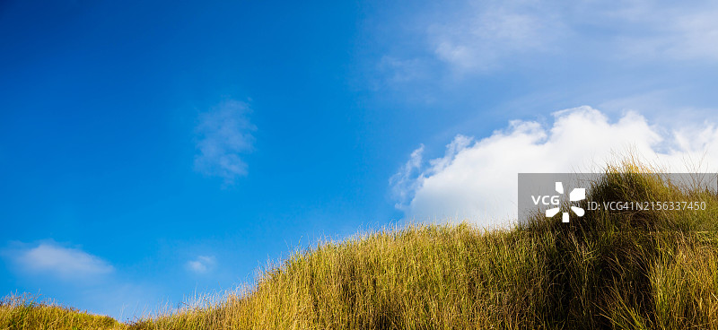 田野、山丘和芦苇图片素材