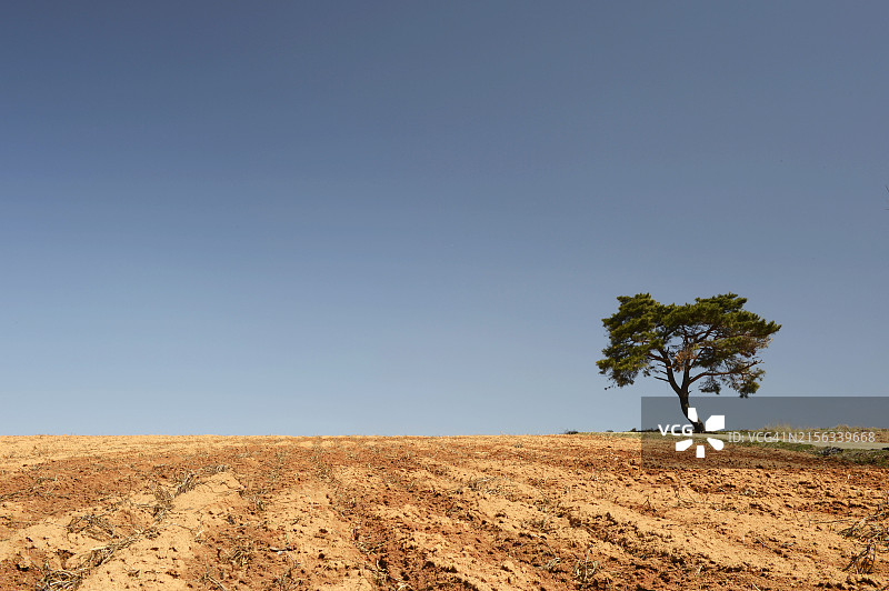 全罗南道务安郡红土田图片素材