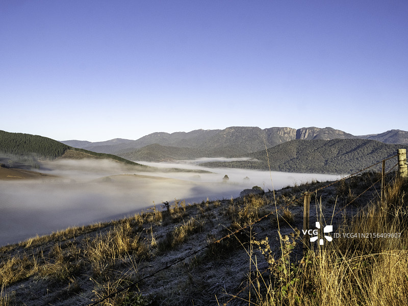 雾气缭绕的农田山谷和冬季葡萄藤图片素材