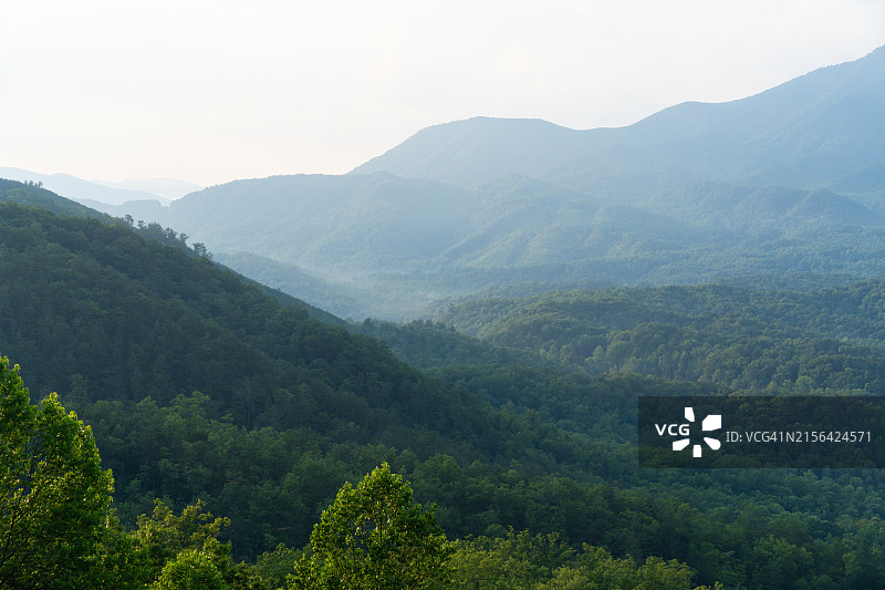 大雾山山脊的夏日风光图片素材