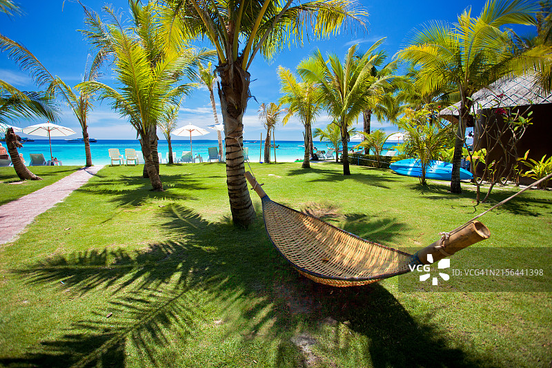 夏季热带天堂丽贝岛椰子树图片素材