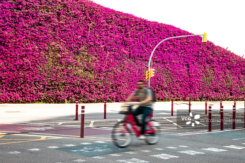 巴塞罗那花丛自行车图片素材