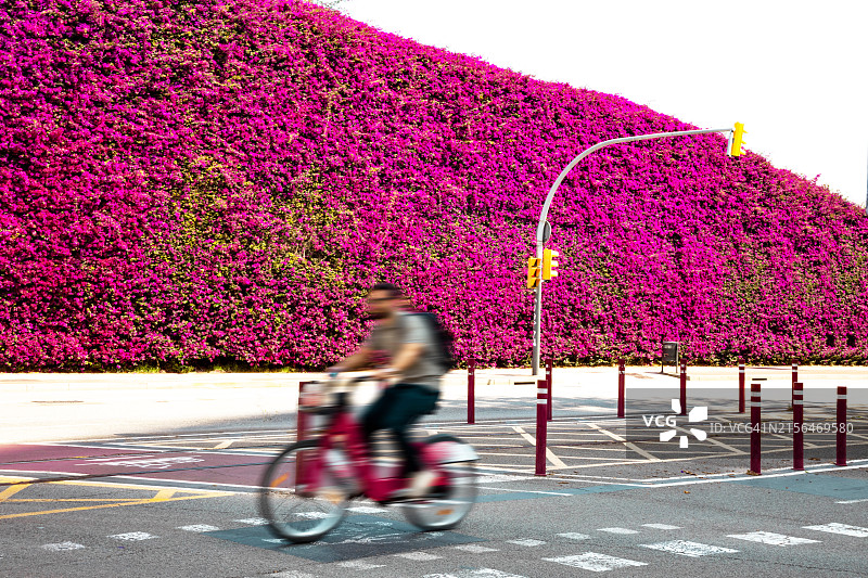 巴塞罗那花丛自行车图片素材
