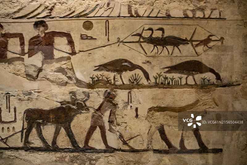 埃及开罗《死亡之书》中的农民和农场动物乡村场景图片素材