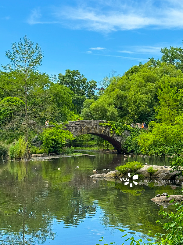 在纽约市中央公园池塘上的盖普斯托桥附近的人图片素材