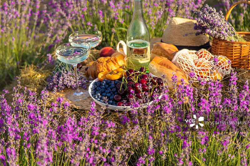 紫色开花植物特写图片素材