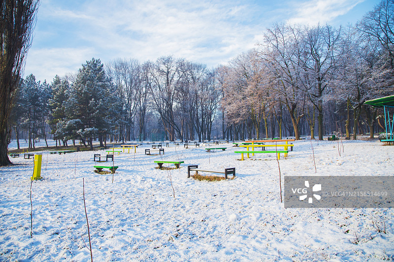 白雪覆盖的田野上的树木映衬着天空图片素材