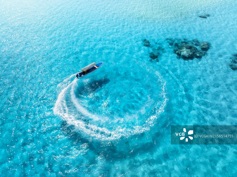 海中鲸鱼游泳的高角度视图图片素材