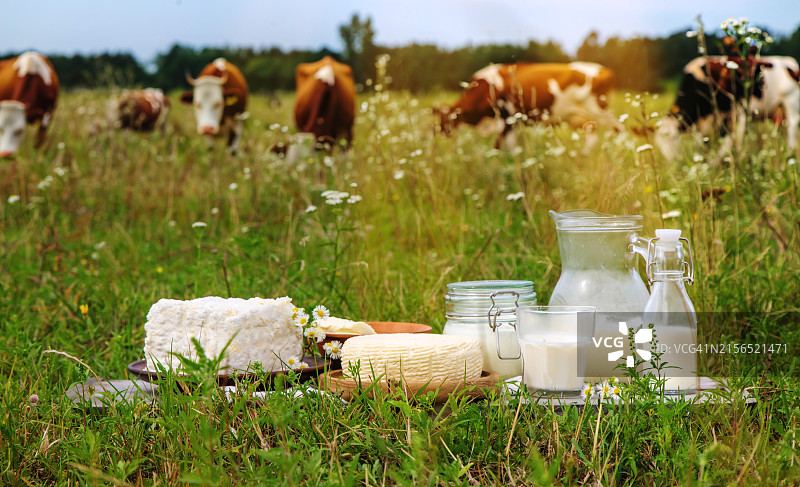 田野上的食物特写图片素材