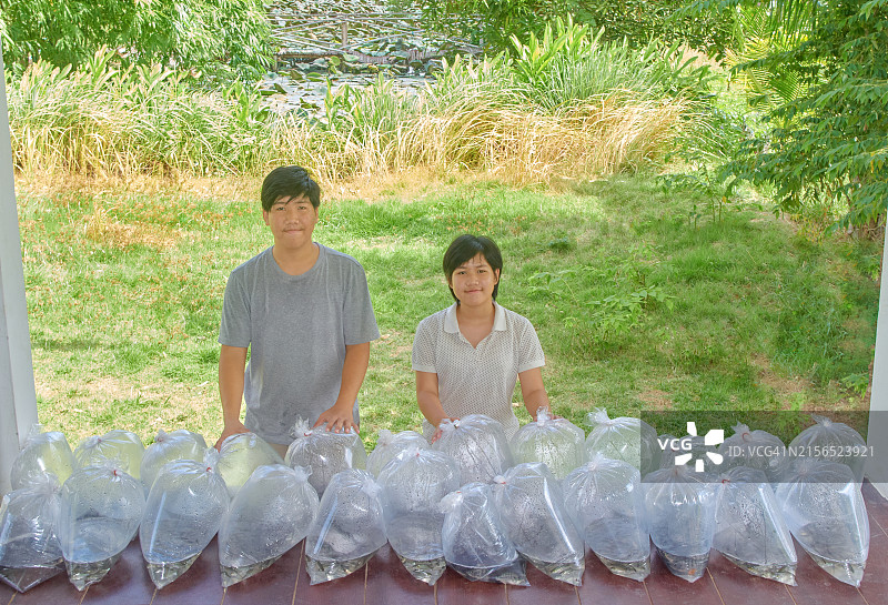 青少年男女拿着许多淡水养殖鱼苗袋图片素材
