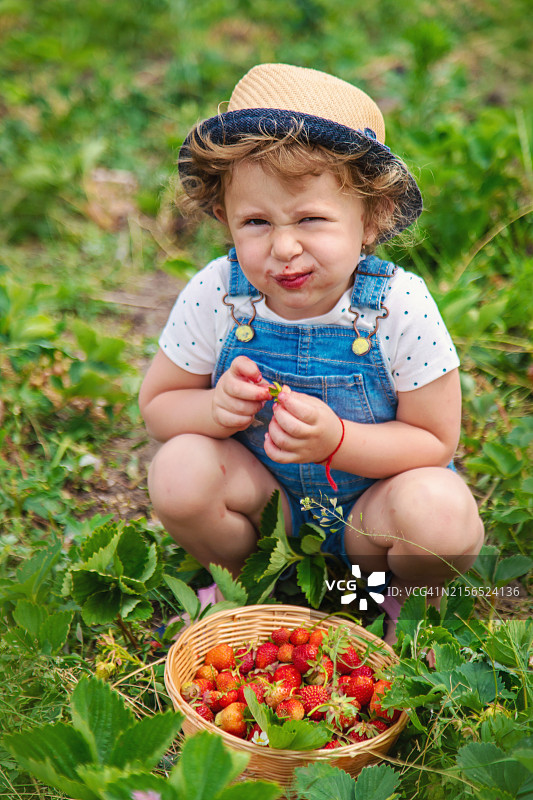 采摘草莓的可爱男孩图片素材
