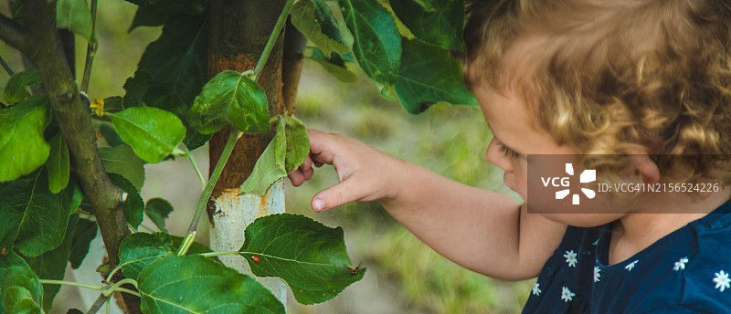 触摸植物男孩特写图片素材