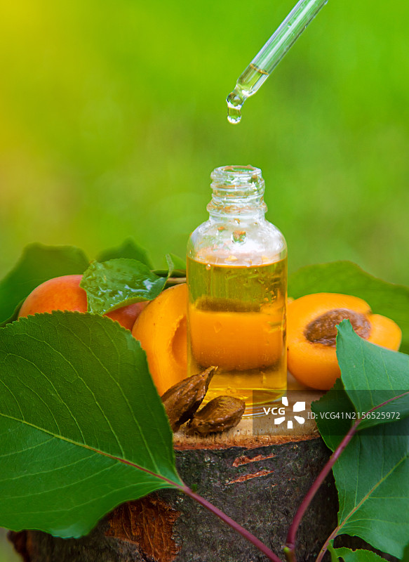 桌子上带有树叶的罐中油特写图片素材