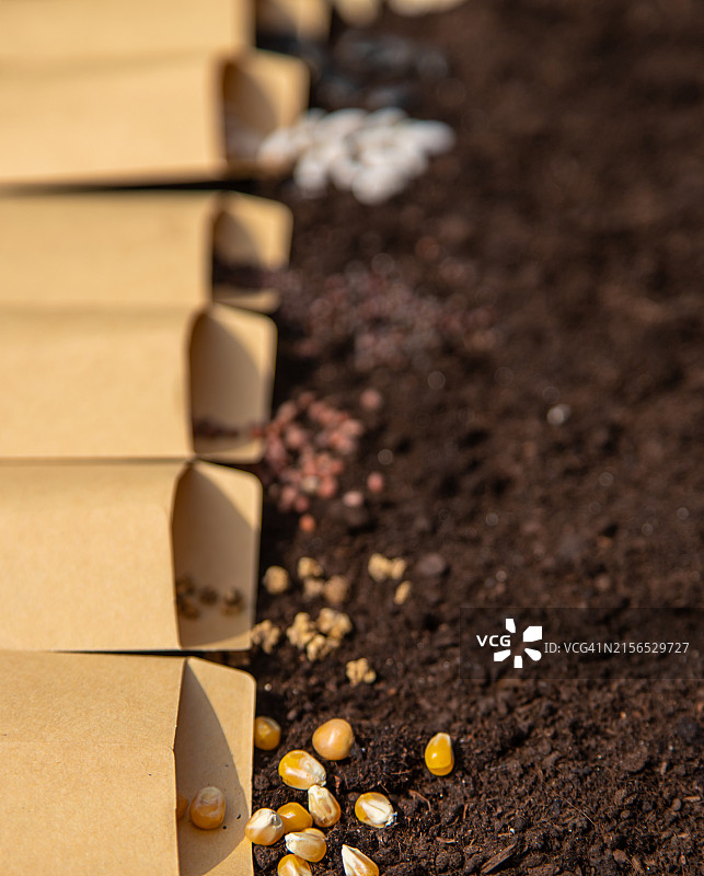 桌子上的石头图片素材