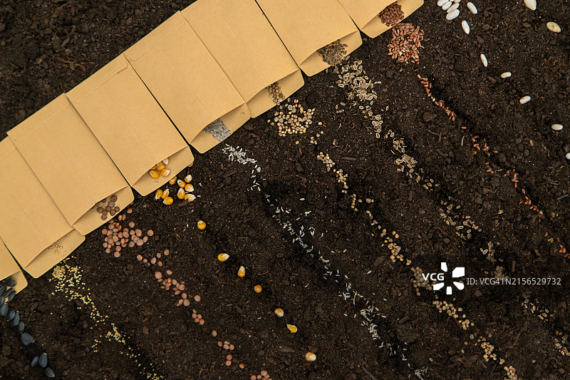 田野高机位视角图片素材