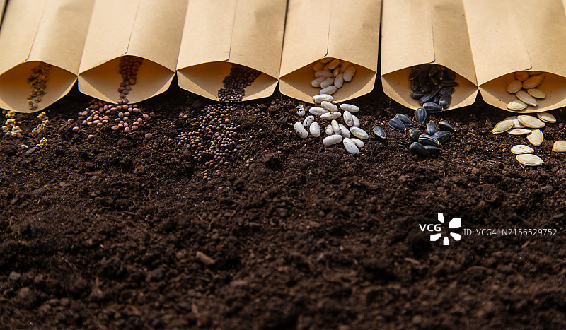 桌子上咖啡豆的俯视图图片素材