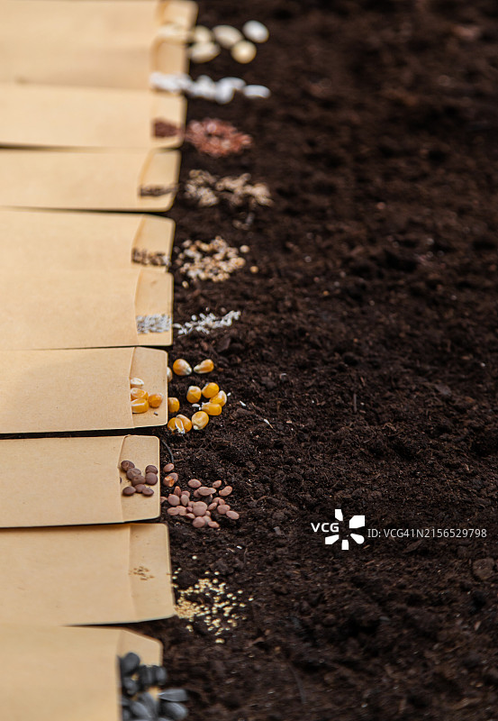 餐桌上食物的高角度视角图片素材