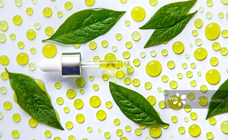 带有树叶的桌子上美容产品高角度视图图片素材