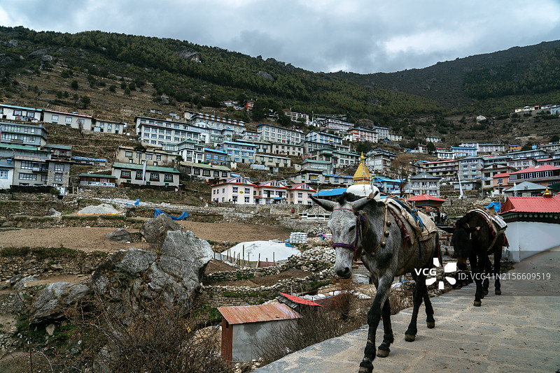 南池巴扎图片素材