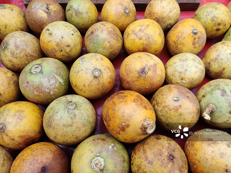 待售的成熟猫儿茶或木苹果（Aegle marmelos）图片素材