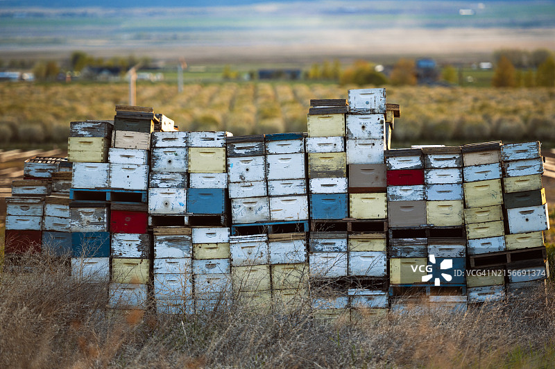 堆叠的蜂箱图片素材