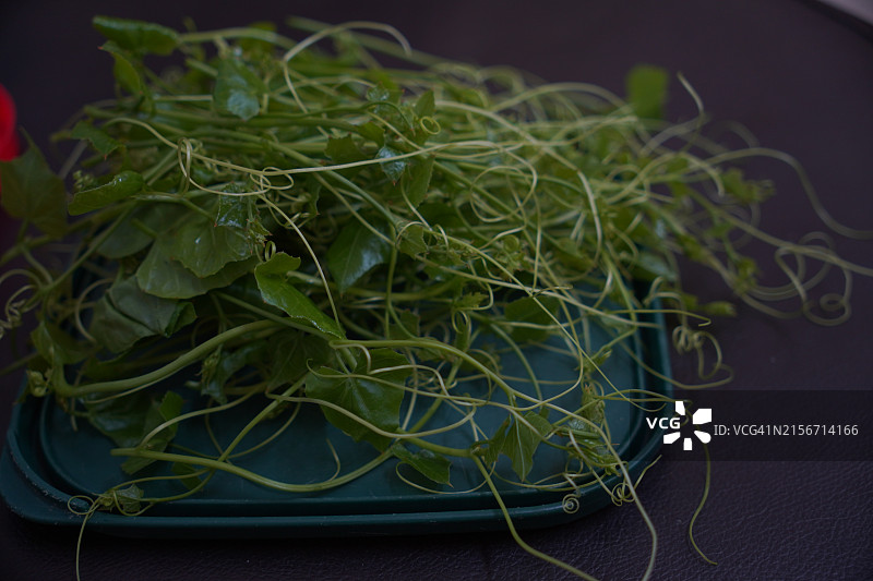 红瓜嫩芽绿色蔬菜图片素材