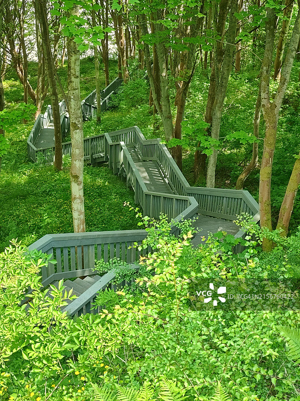 通往海滩的木制阶梯图片素材