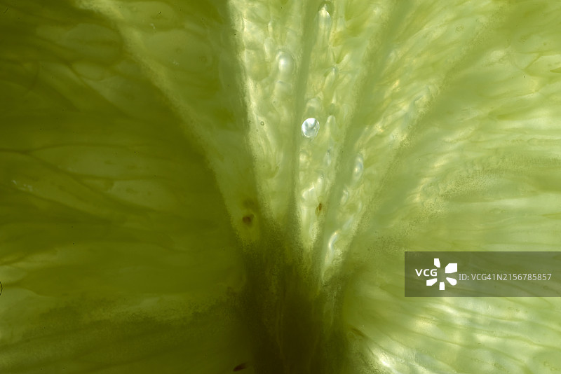 柠檬精华图片素材