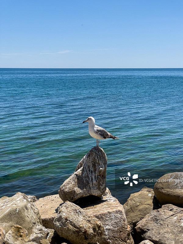 伊斯坦布尔马尔马拉海的锡利夫里海滨图片素材