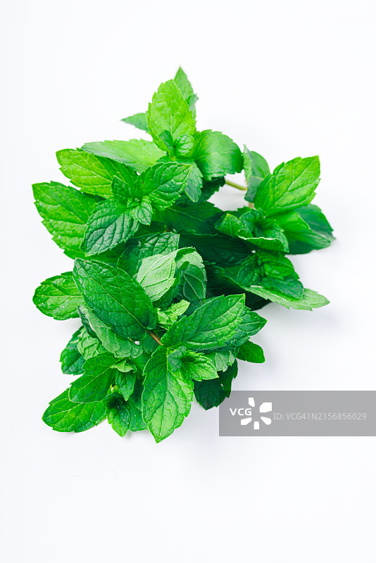 白色背景上的新鲜薄荷叶图片素材