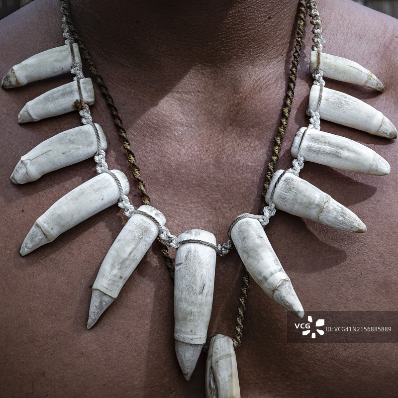 牙齿项链图片素材