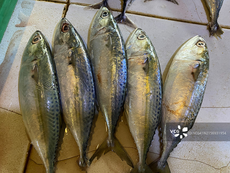 市场上出售的新鲜鱼图片素材