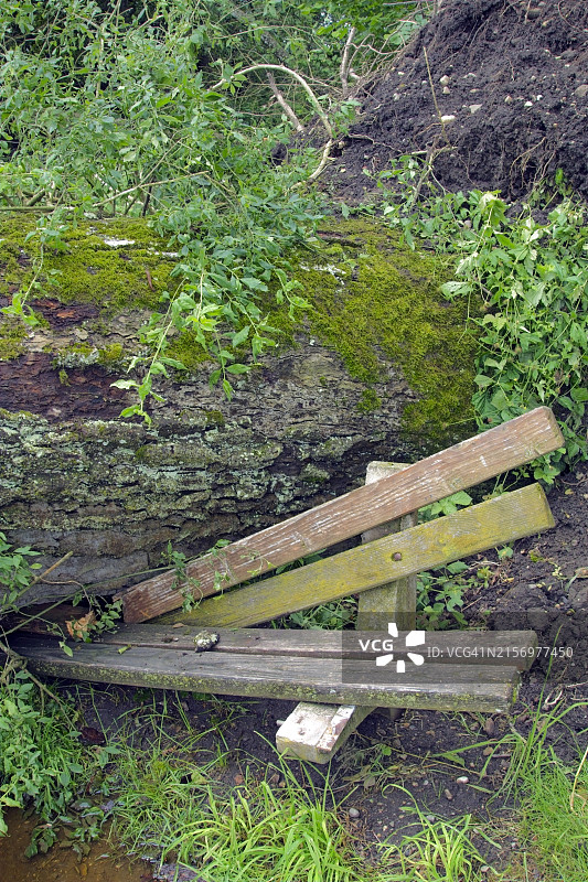 风暴中被吹倒的树木图片素材