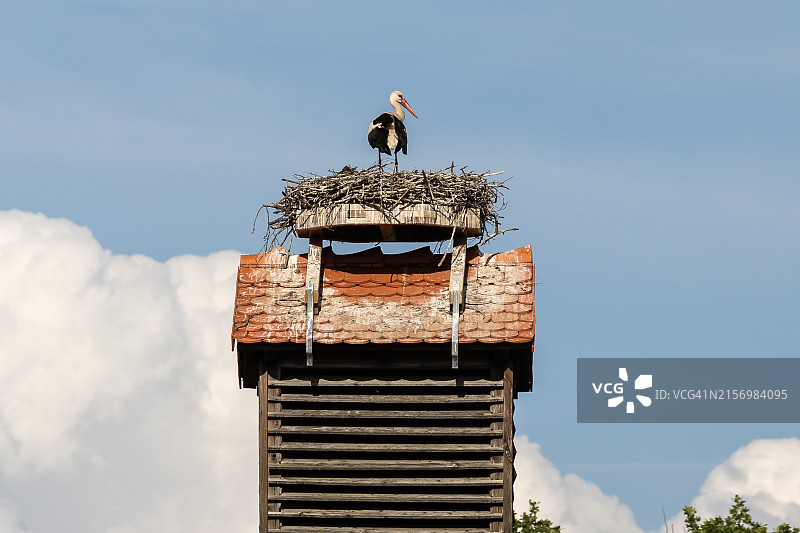 烟囱顶上鸟巢里的鹳图片素材
