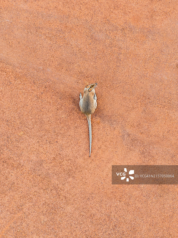 澳大利亚北领地瓦拉比航拍图片素材