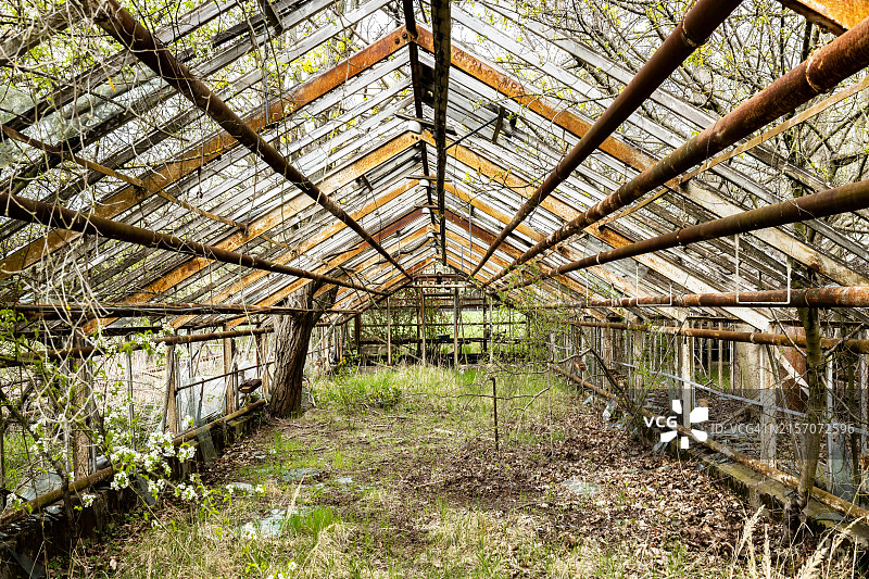 废弃区域的旧温室图片素材