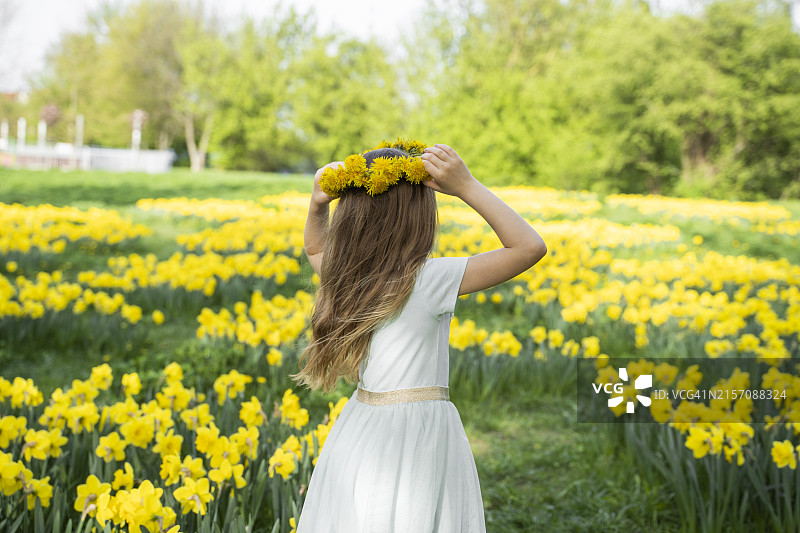 女孩佩戴蒲公英花环站在水仙花田中图片素材