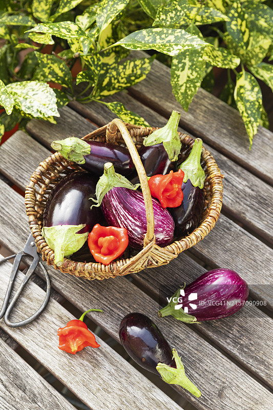 柳条筐里的新鲜茄子和红辣椒图片素材