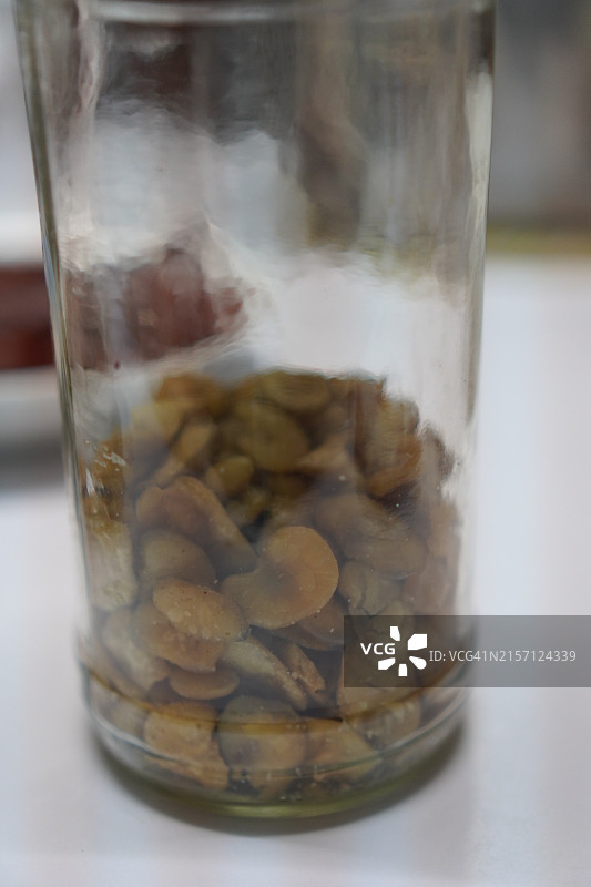 罐装咸蚕豆图片素材