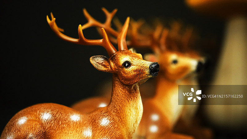 墙上悬挂的动物雕像特写图片素材