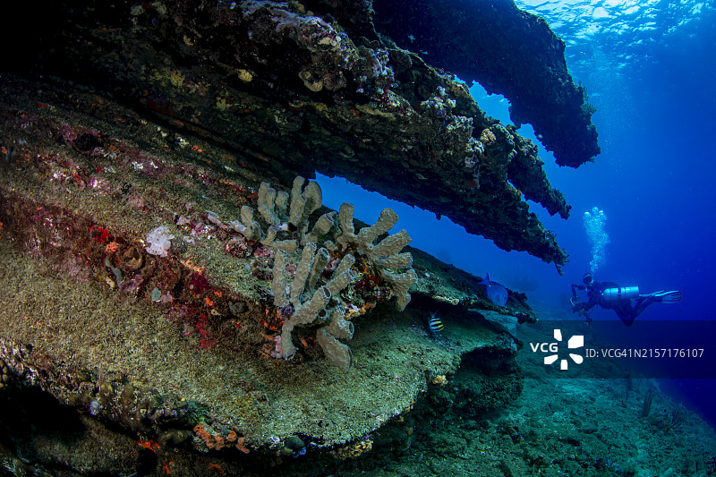 侧挂式潜水图片素材