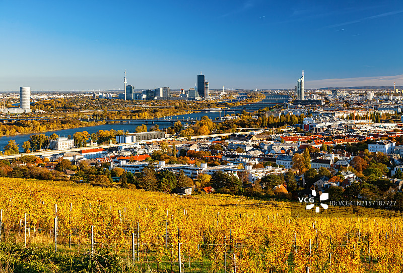 秋季葡萄园上空的维也纳市中心鸟瞰图片素材