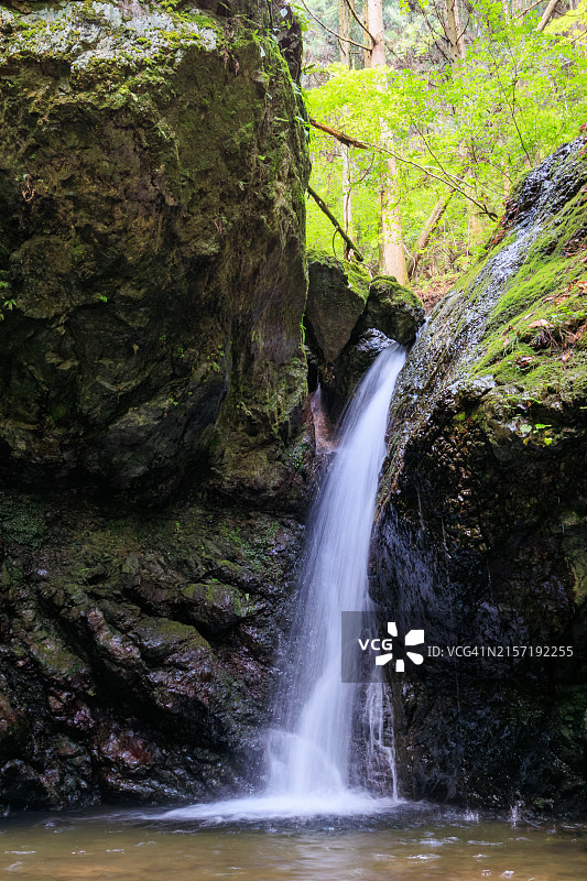 日本东京昭岛市，日出山，绿色悬崖上的美丽小瀑布，2024年6月图片素材