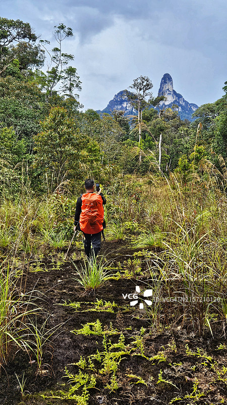 成熟的登山者在马来西亚砂拉越巴里奥的普隆陶国家公园拍摄并徒步攀登巴都拉威山顶图片素材