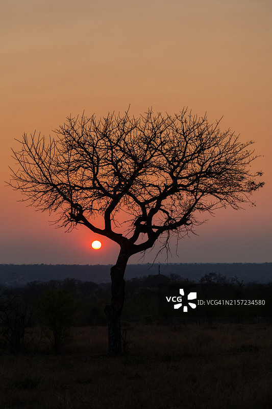萨比沙日出图片素材
